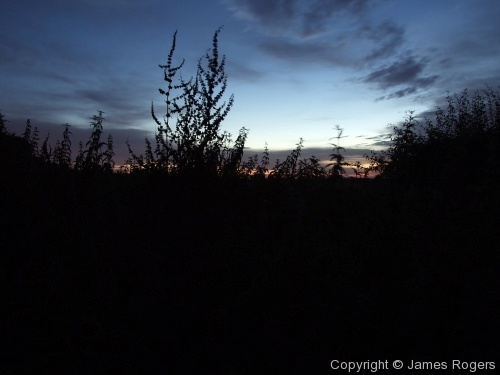 Sunset over Granchester Meadows, Cambridge
